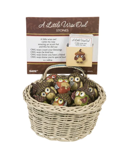 Little Wise Acorn Hat Owl Token Charm