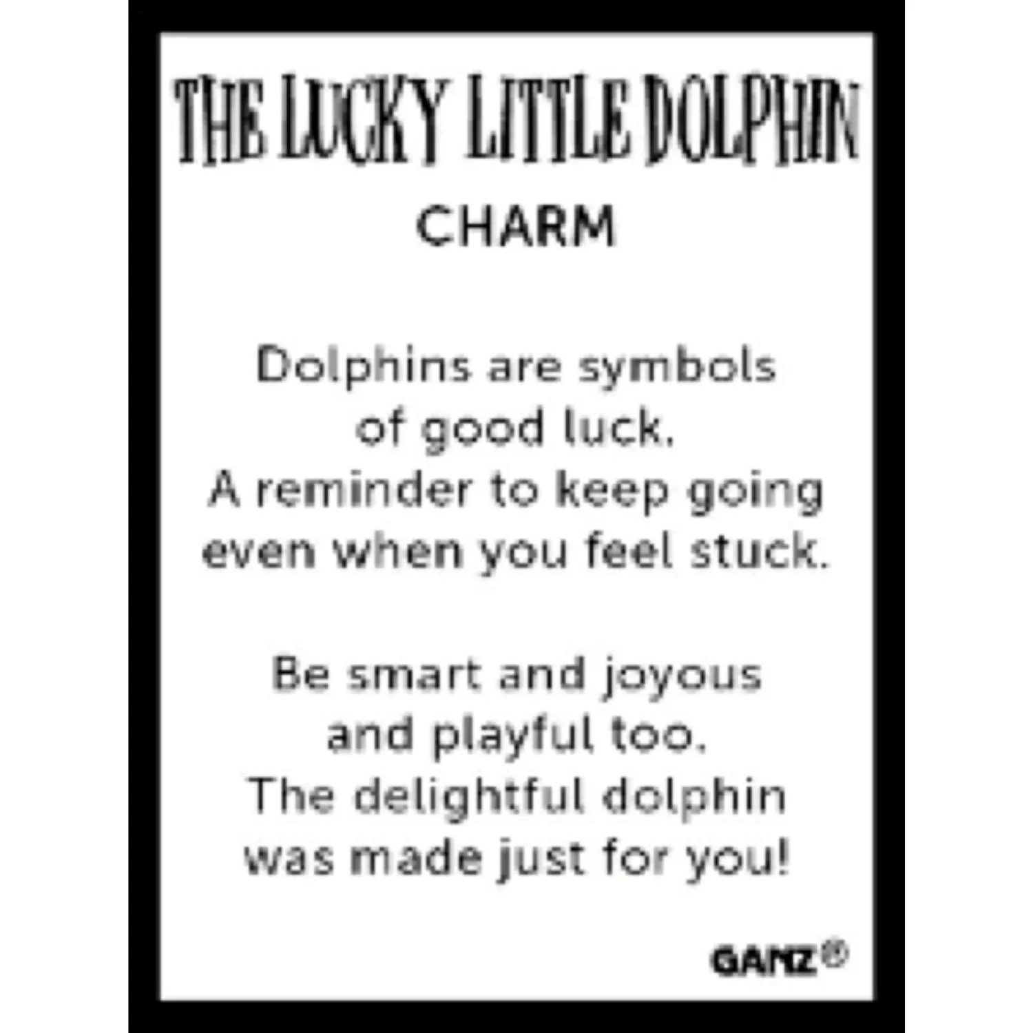 Lucky Little Dolphin Token Charm