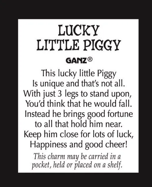 Lucky Little Piggy Token Charm