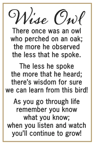 Wise Owl Stone Token Charm